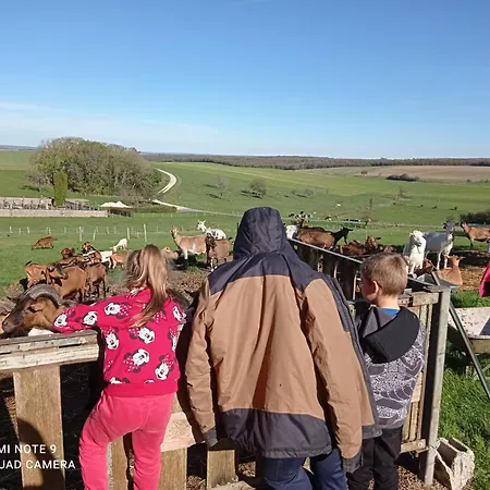 1 Insolite Sur A La Ferme Badonvilliers